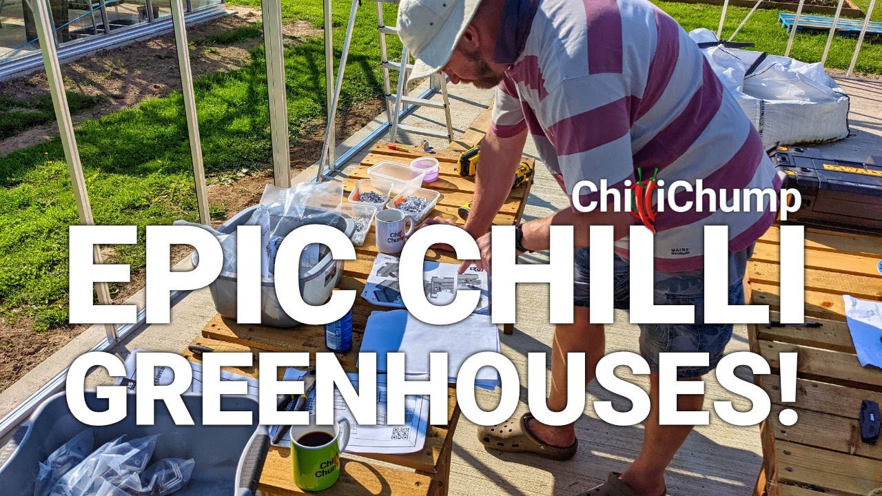 Chilli Pepper Greenhouses. Timelapse of the Second Greenhouse Going Up!