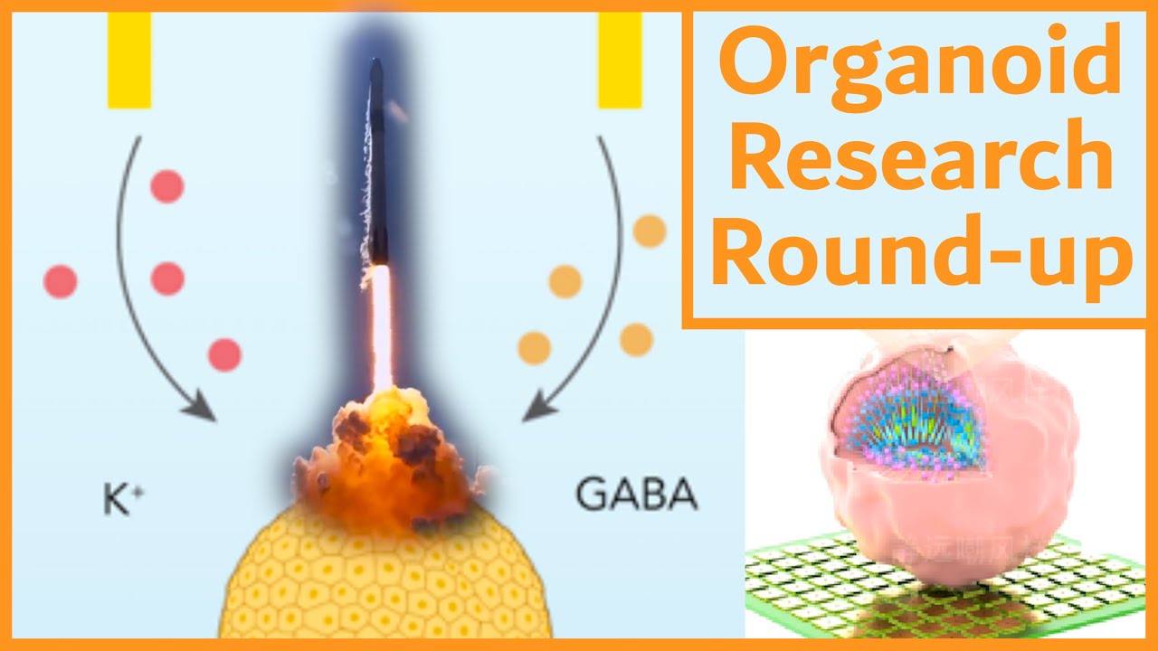 Lab-Grown 