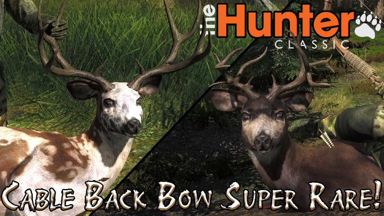 Невероятно редкое завершение 2025 года! theHunter: Классика!