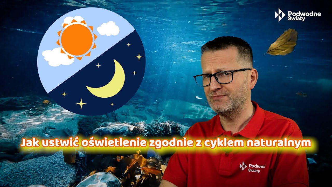 Jak ustawić oświetlenie zgodnie z cyklem naturalnym?