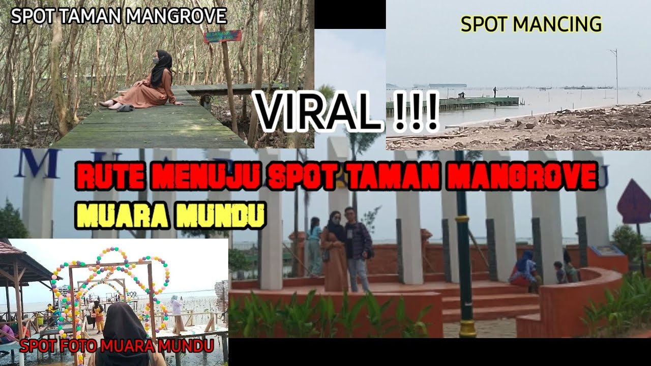 REVIEW RUTE DAN SPOT TAMAN MANGROVE MUARA MUNDU # VIRAL DI CIREBON !!!