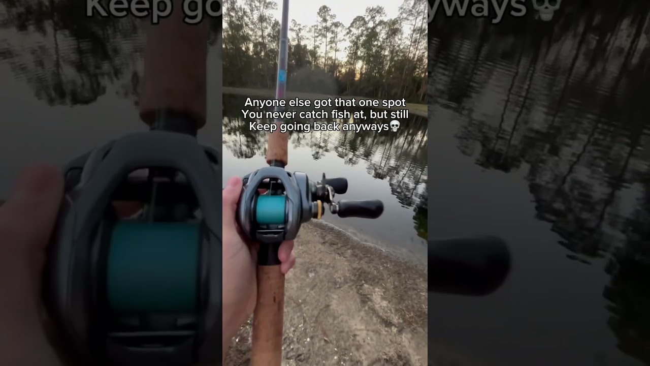 #bassfishing #fishing #fishinglife #fish #whitebassrun #bassfish #whitebeats #whiteseabass #fishspec