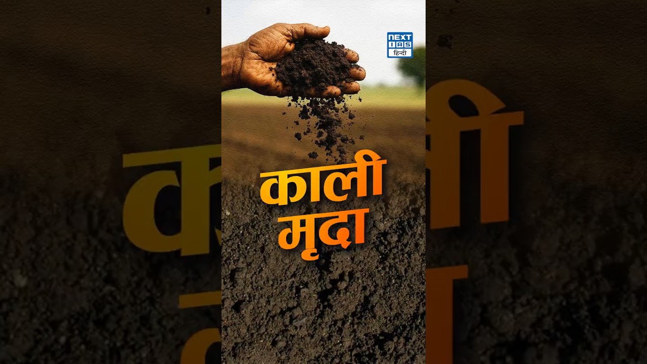 Black Soil (Regur Soil) Explained | Cotton Soil of Deccan Plateau | NEXT IAS HINDI