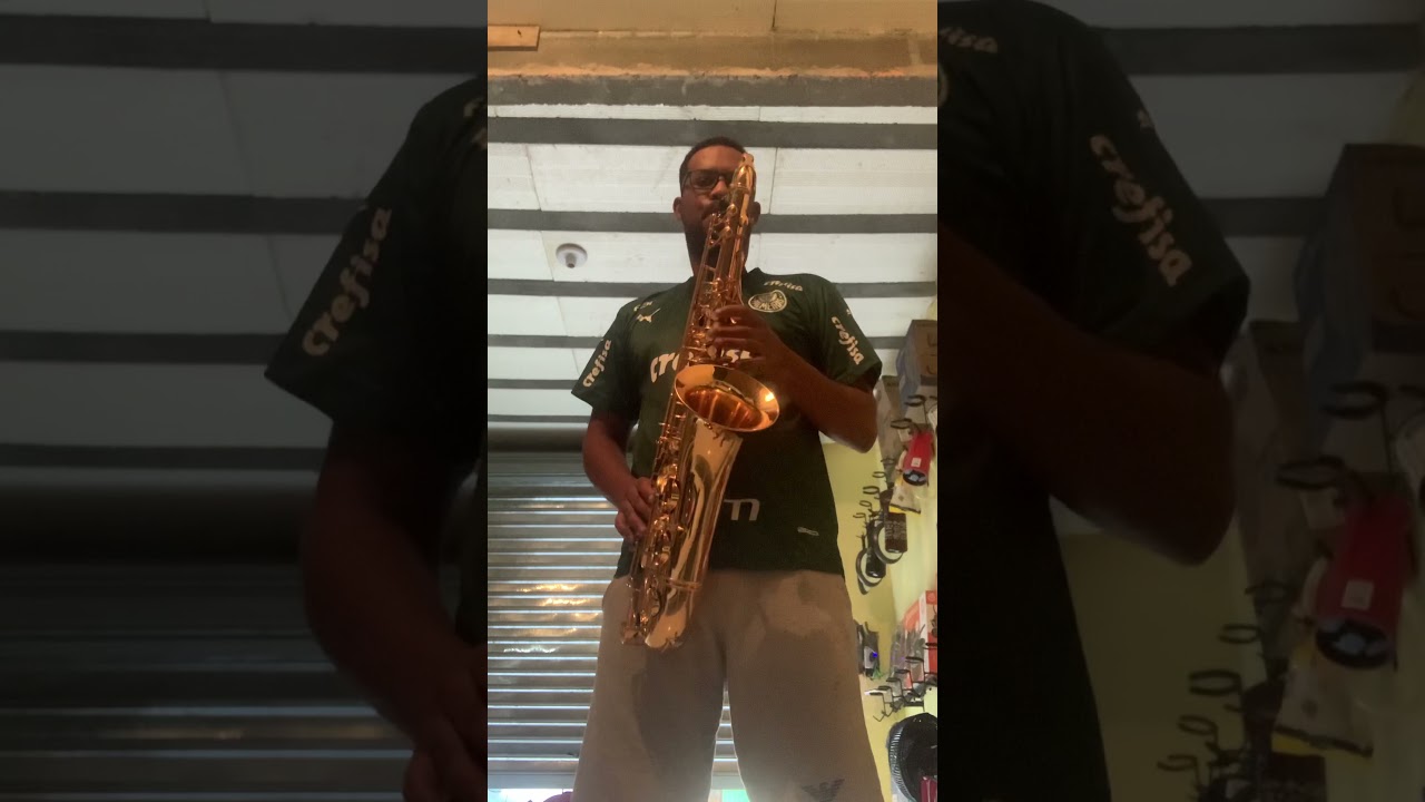 Teste sax tenor weril spectra 2 a972