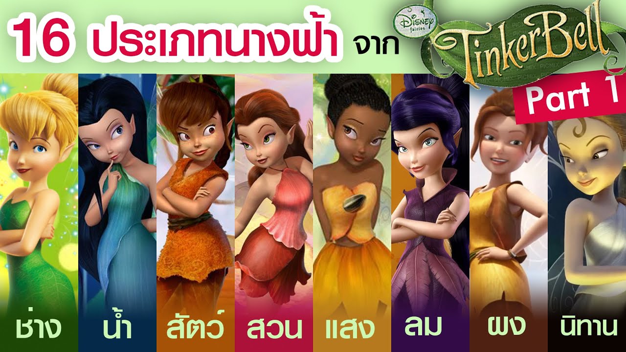 16 ประเภท