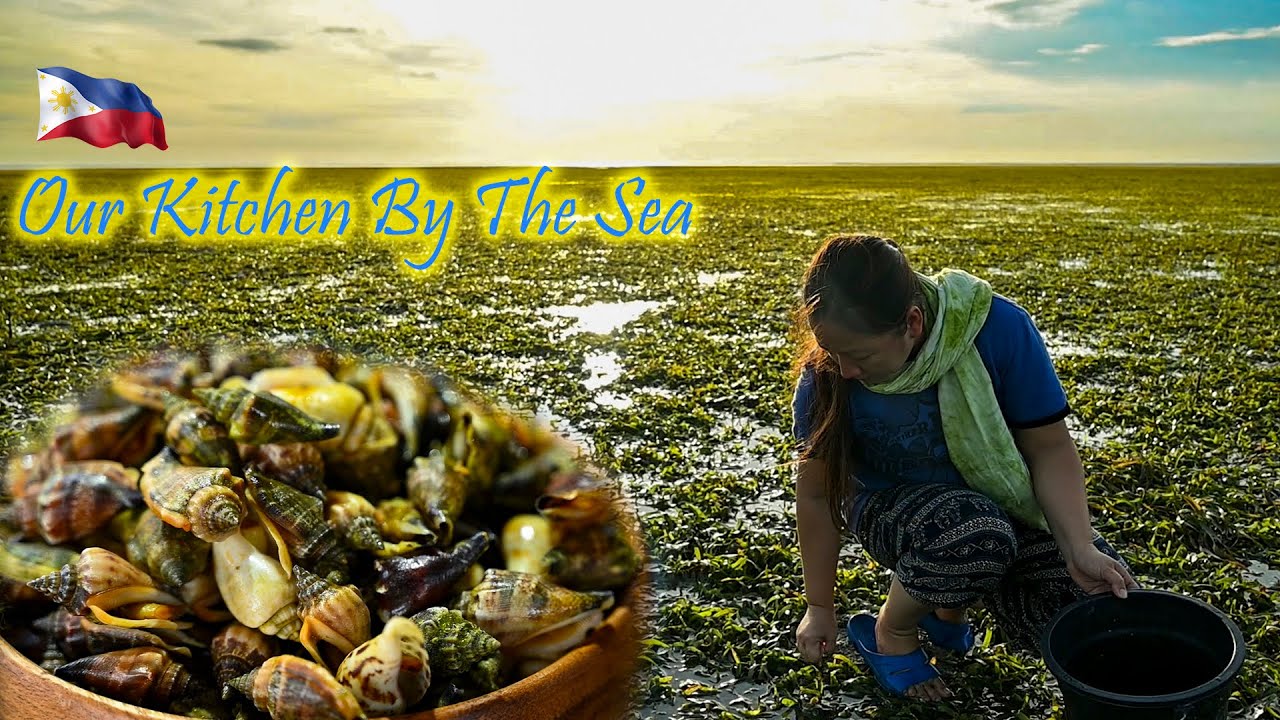 Foraging for Sikad-sikad Snails (Mamulantak) During Low-tide | Province Life Philippines