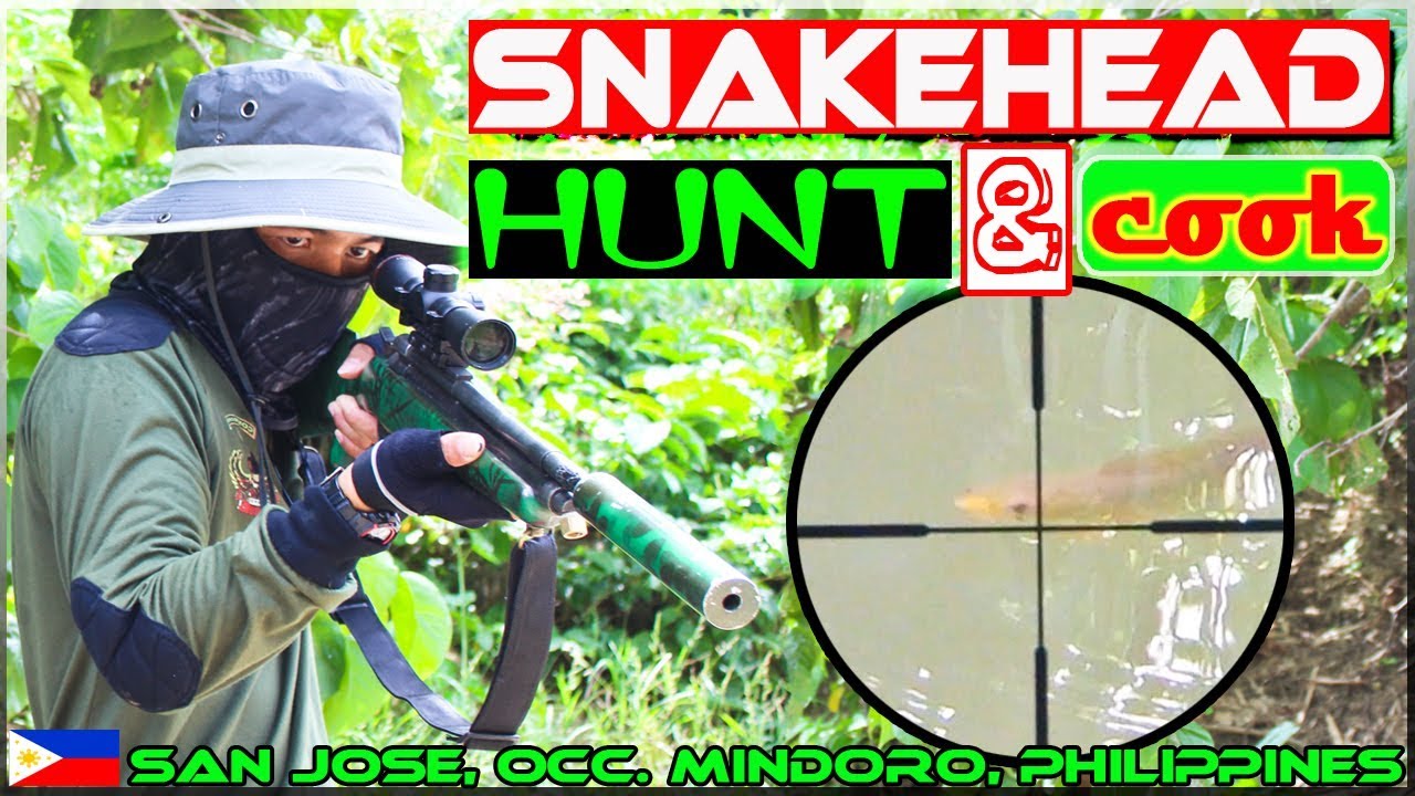 EP26 - Snakehead (Dalag) Hunt and Cook using Air Rifle {Pananambang ng dalag}
