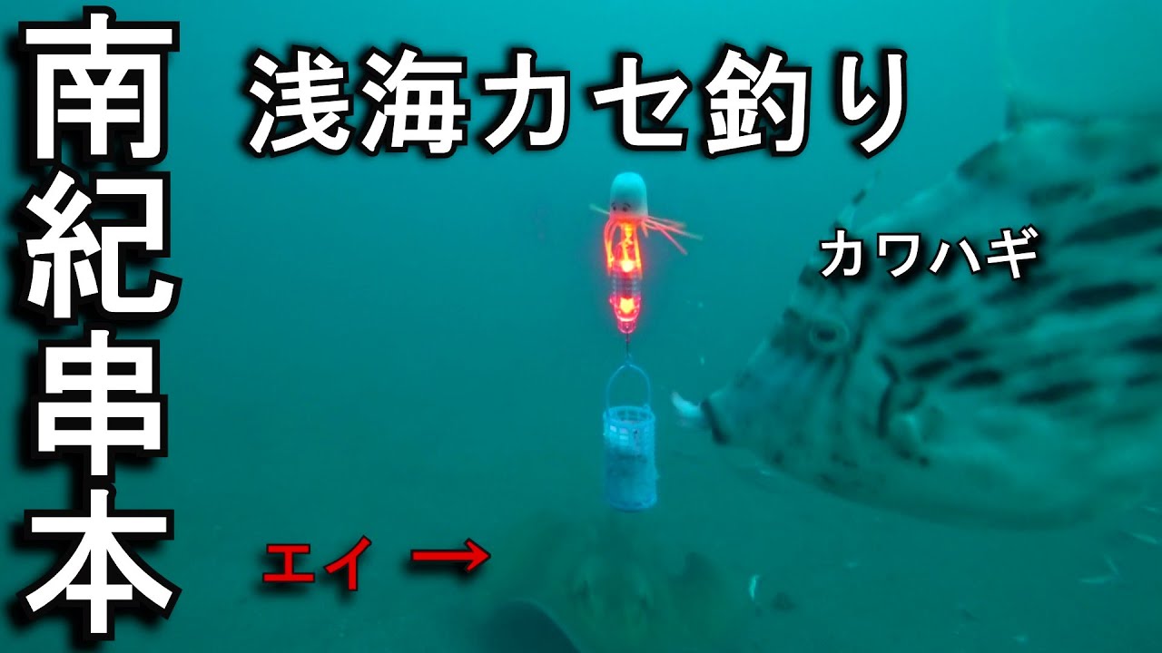 南紀串本のカセ釣りへ行って来ました。家から片道550キロ…結構遠いですが串本の海は釣り人を引き付ける魅力があります。1年に何度も行ける所ではありませんが…元気なうちは通いたい釣り場です。