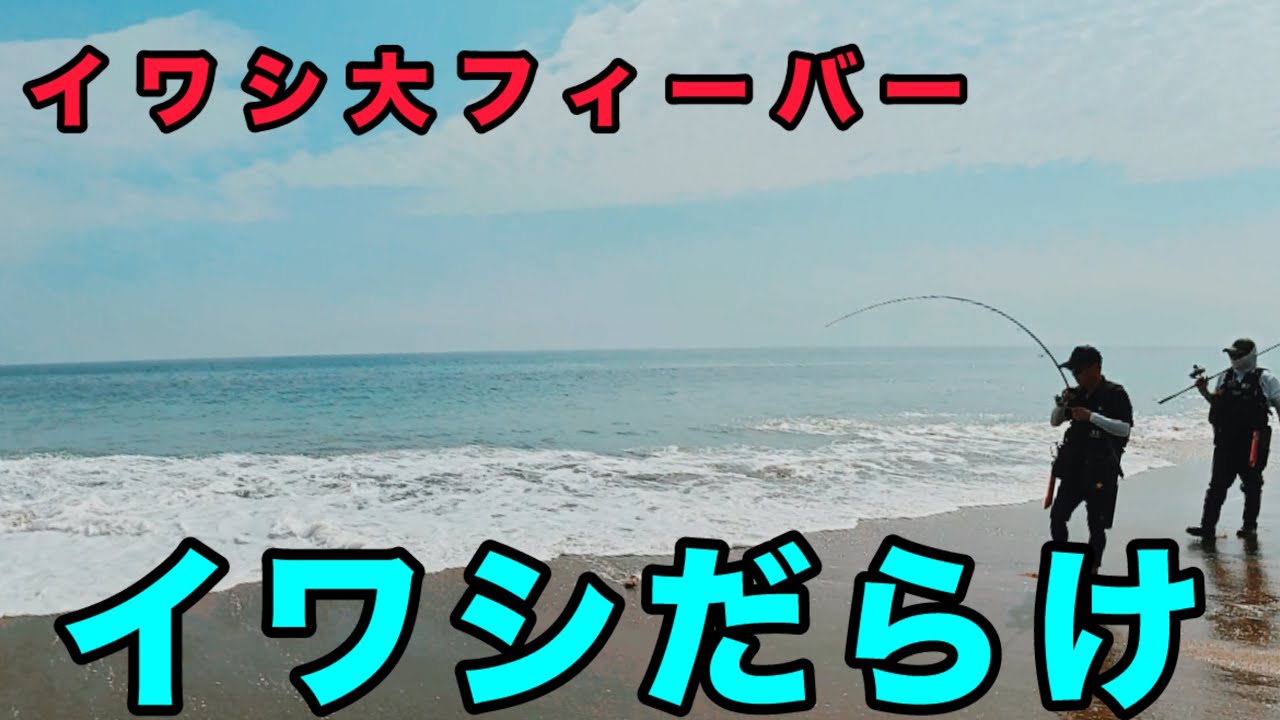 イワシ大フィーバー会場に全力で凸って来た！！