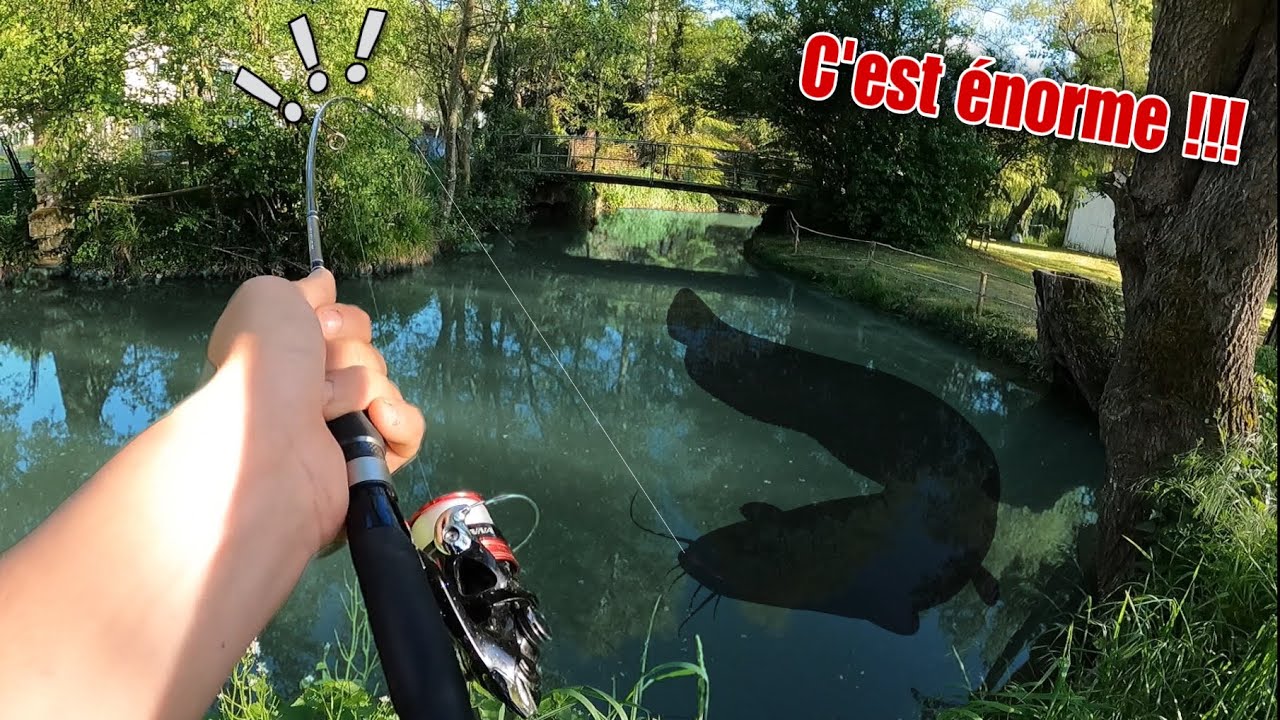 Je tombe sur un POISSON MONSTRUEUX pour cette toute PETITE RIVIÈRE !