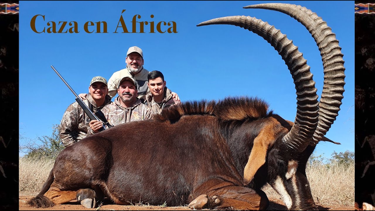 Cacer&iacute;as en Sud&aacute;frica con Rhinoland Safaris Parte 2 en Grandes Trofeos