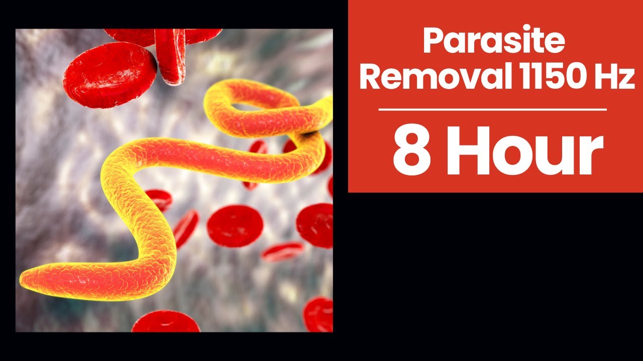 1150 Hz Frequency for Parasite Cleansing | Rife Frequency for Total Body Balancing 8 Hr Black Screen