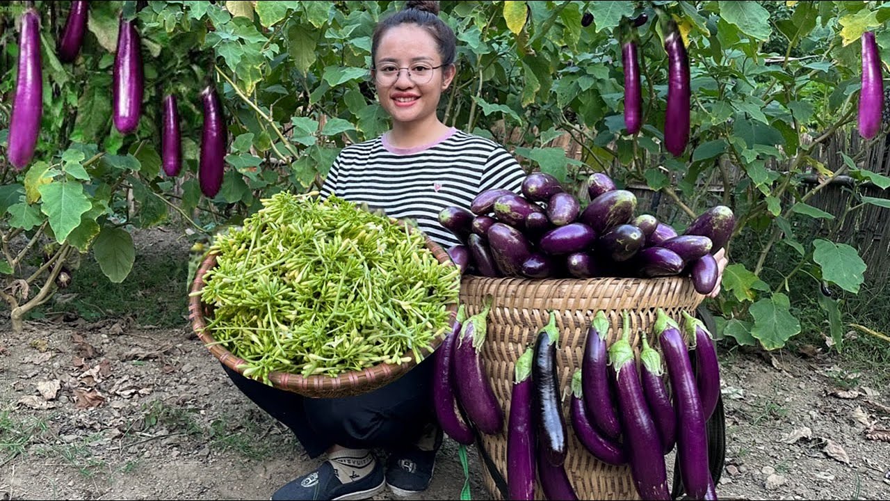 Harvesting eggplant & papaya flowers to go to the market to sell