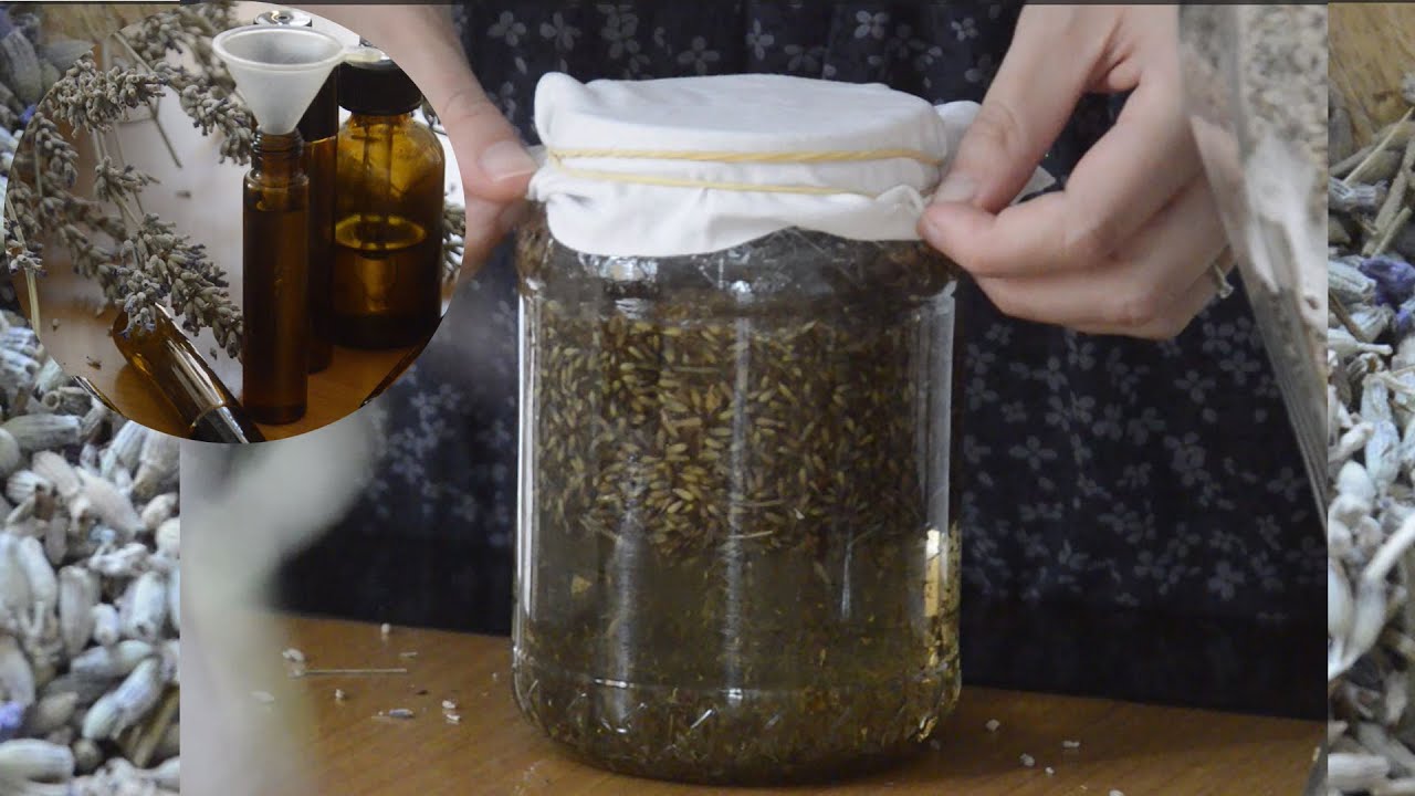 How to Make Lavender Oil  + Journal With Me