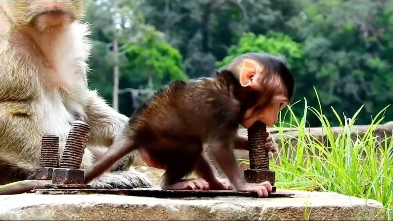 dia sangat senang dan terus semangat hari ini