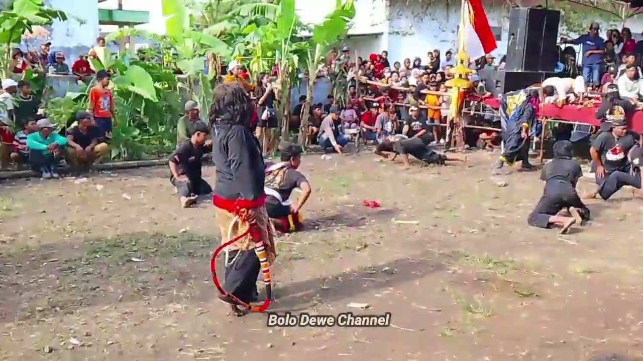 Gebrakan Kewan alas Terbaru ~ Bantengan Eyang Kumojoyo Live Desa Balong Kesamben 
