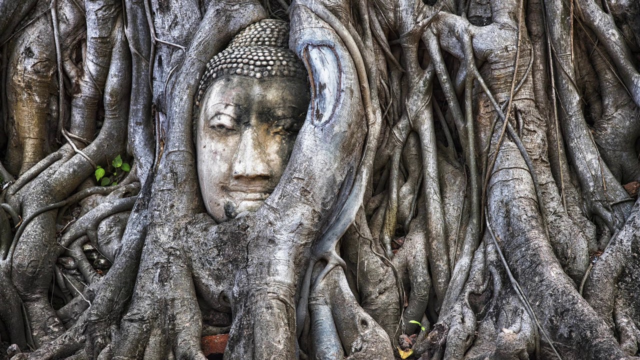 Coming Home to Yourself: A Meditation for Embodiment
