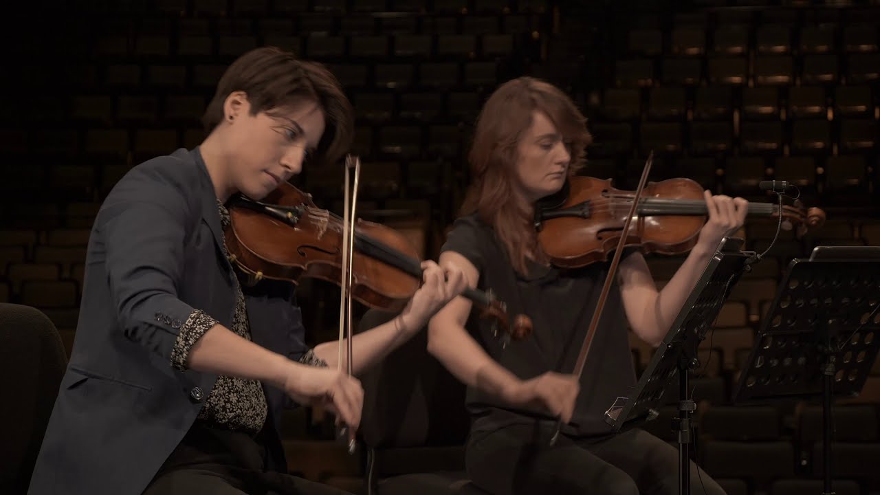 'Arnika' by Sufjan Stevens (arr. Avery Knific)