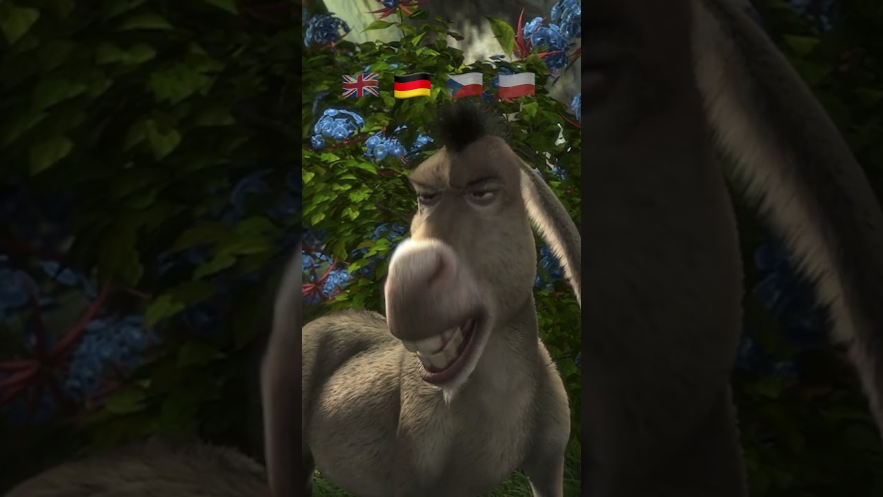 Klasyczek, kochani. Klasyczek! 😅 #shrek