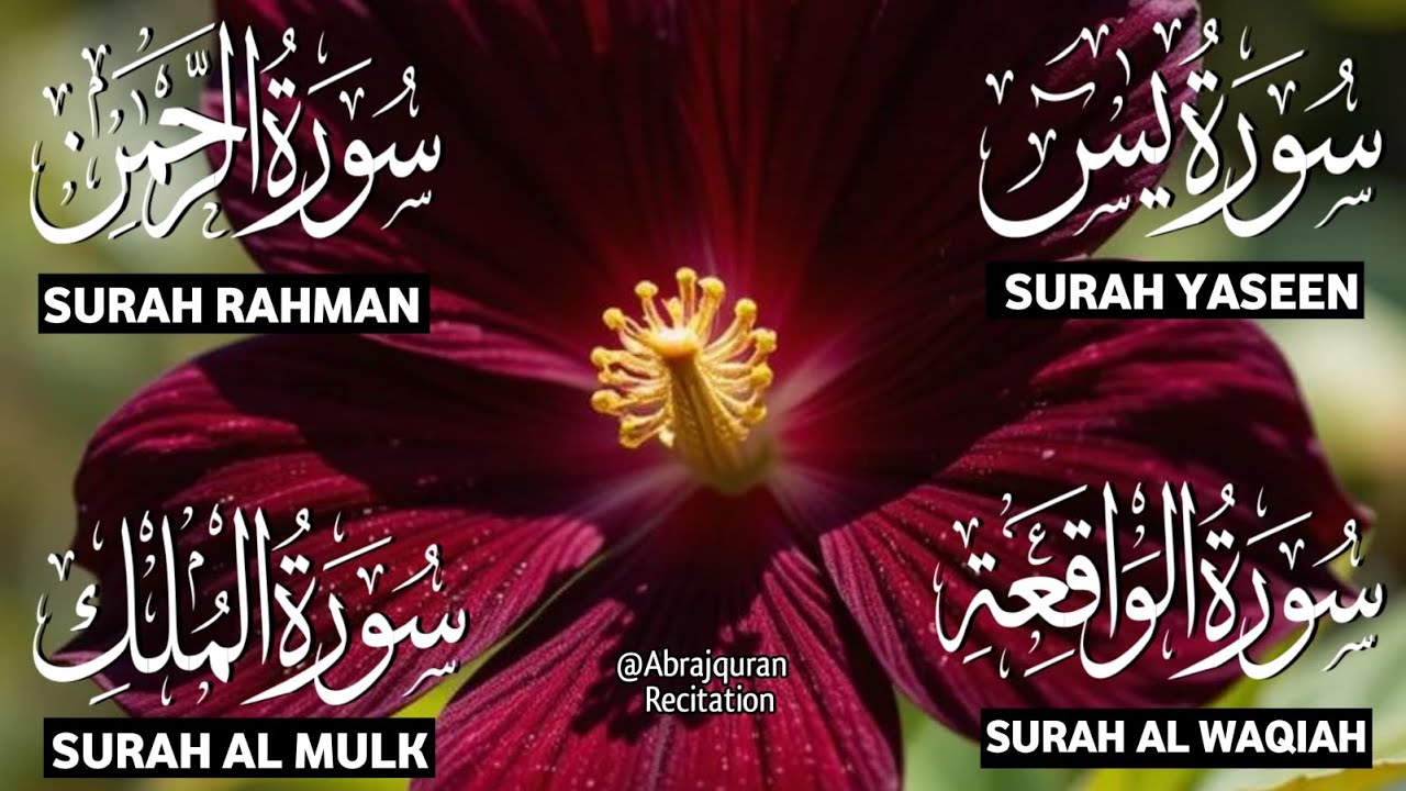 Surah Yaseen ❤ Surah Rahman ❤ Surah Al Waqia ❤ Surah Al mulk Soothing Quran recitation | Ep000391