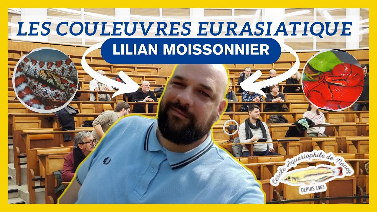 Les couleuvres eurasiatiques par Lilian Moissonnier - Rediff live conférences des 60 ans du CAN 1/3