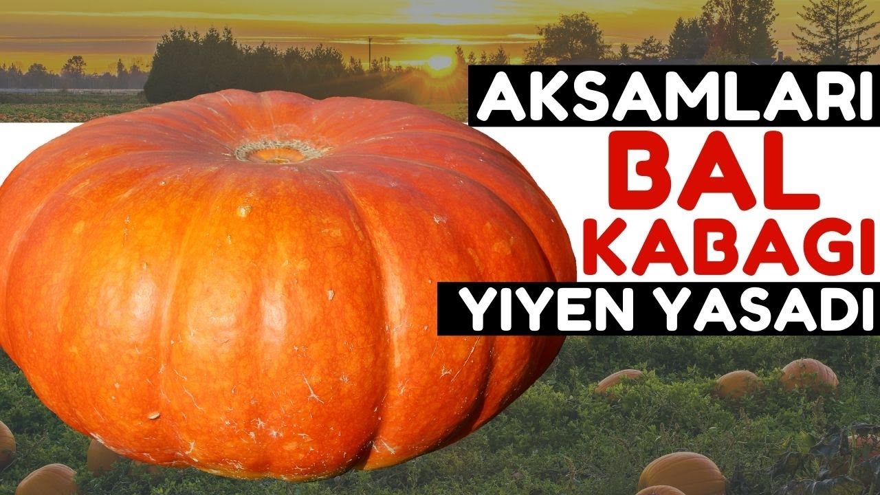 Bal Kabağı V&uuml;cudunuza Bunları Yapıyor | Bal Kabağının Faydaları Nelerdir?