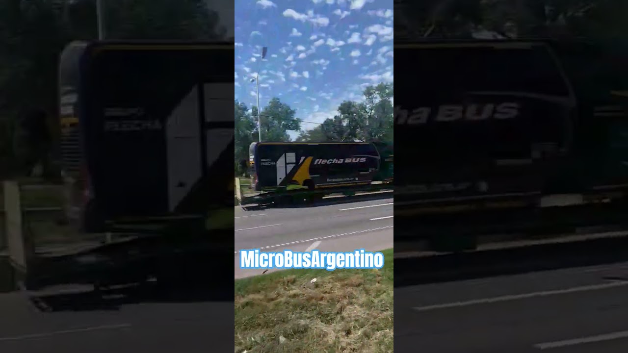 Omnibus de Flecha Bus #colectivos #flechabus #bus