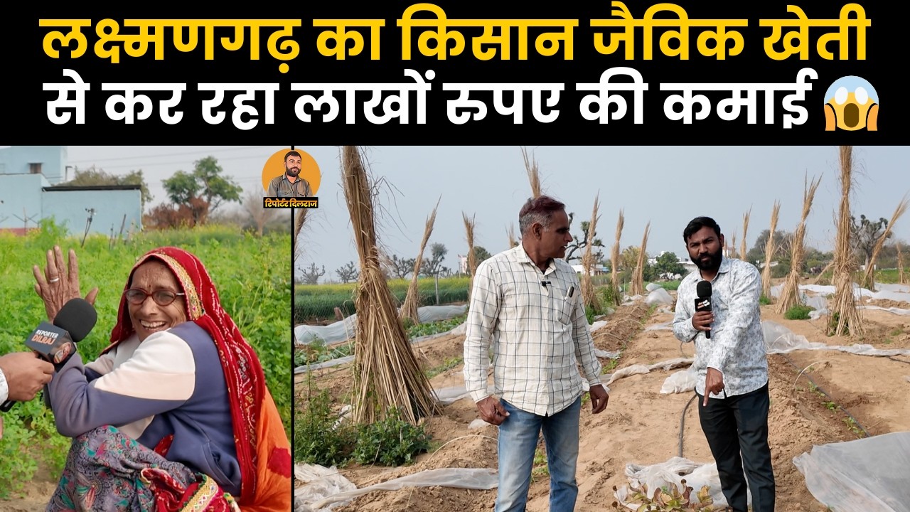 जैविक खेती से सीकर का किसान कमा  रहा लाखों रुपए, खेत से सीधे दिल्ली जाता है सामान~