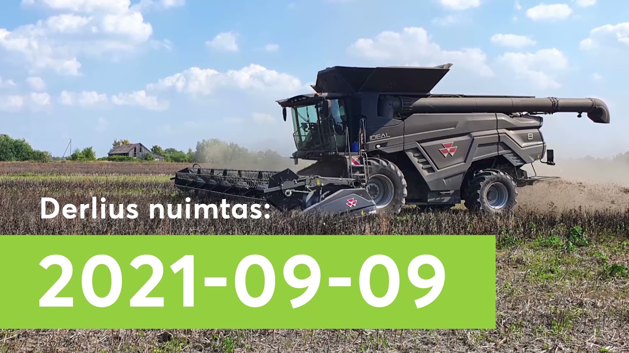 Pupų derliaus nuėmimas UAB &bdquo;Lifrania&rdquo; ūkyje
