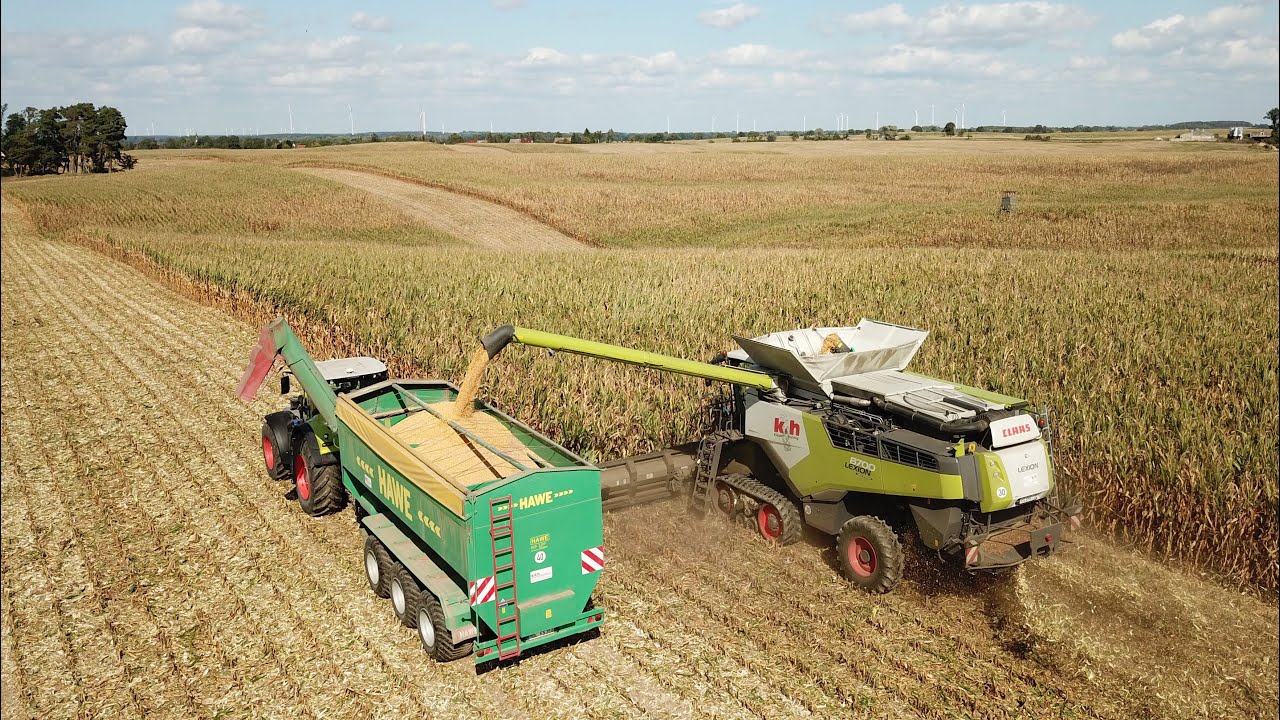 CLAAS LEXION 8700 // Berg & Tal - Mais Ernte