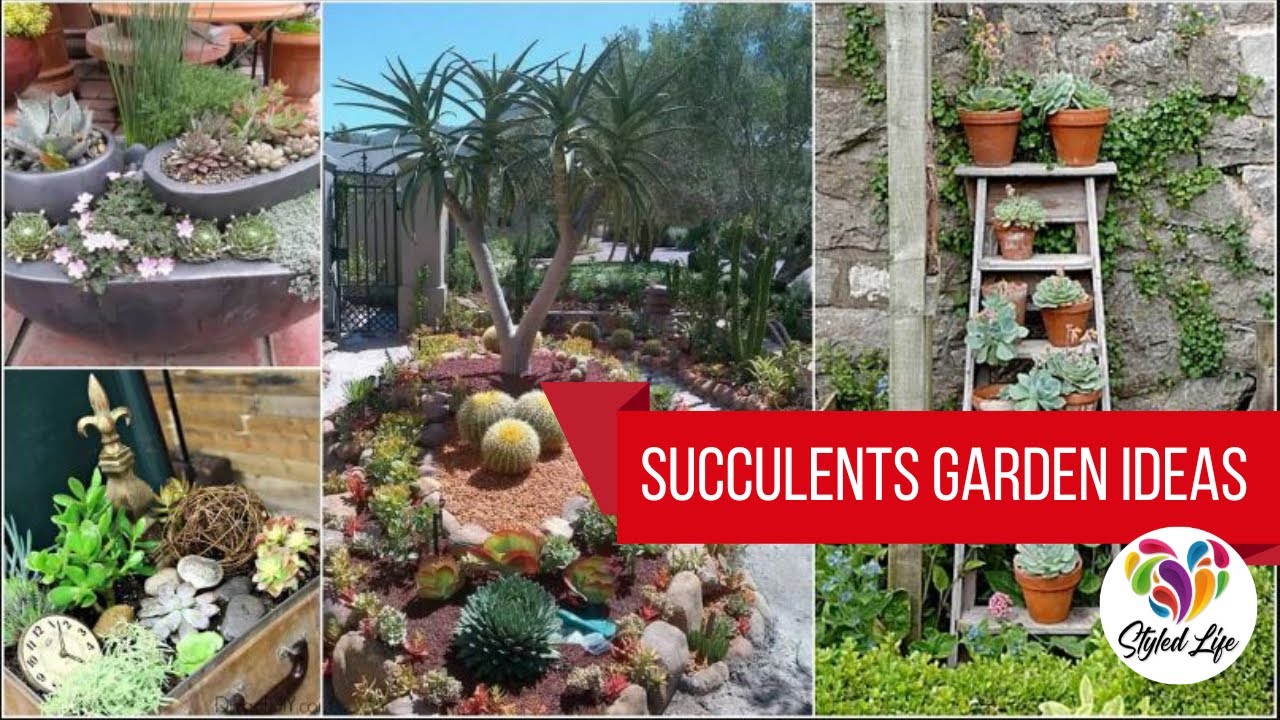 100+ Amazing Succulent Garden Accents ! Must See!
