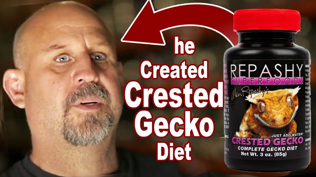 Repashy Reveals the Process of Making Gecko Diets