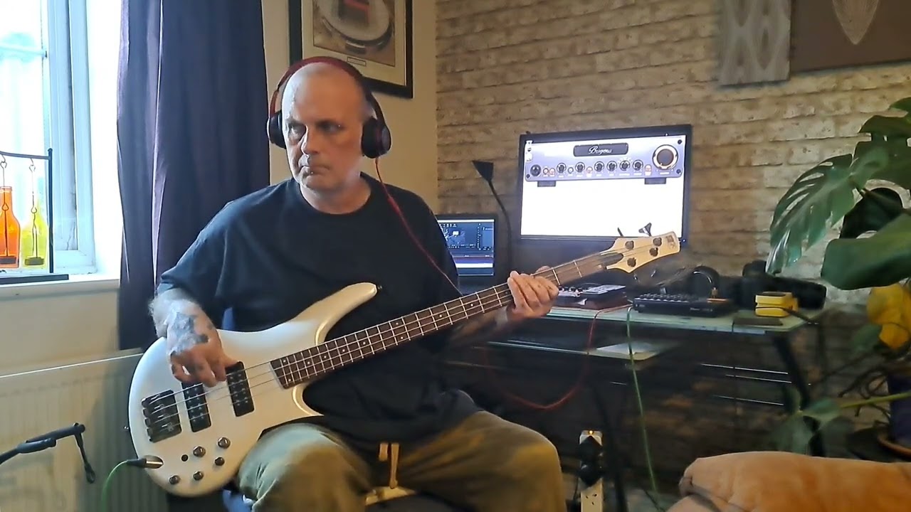 Poison Look what the cat dragged in Bass Cover