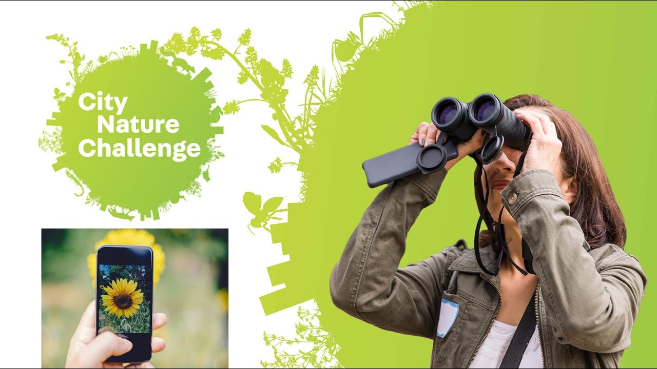 ¿Qué es el City Nature Challenge? o Reto Naturalista Urbano y como participar 2023