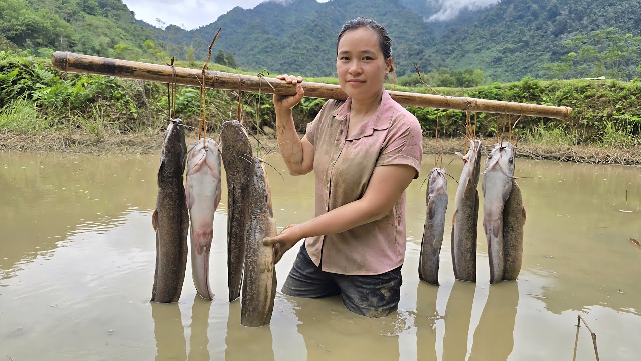 Solo Pond Fishing for Catfish in the Forest | Vietnamese Farm Girl Lý Thị Ca’s Outdoor Adventure