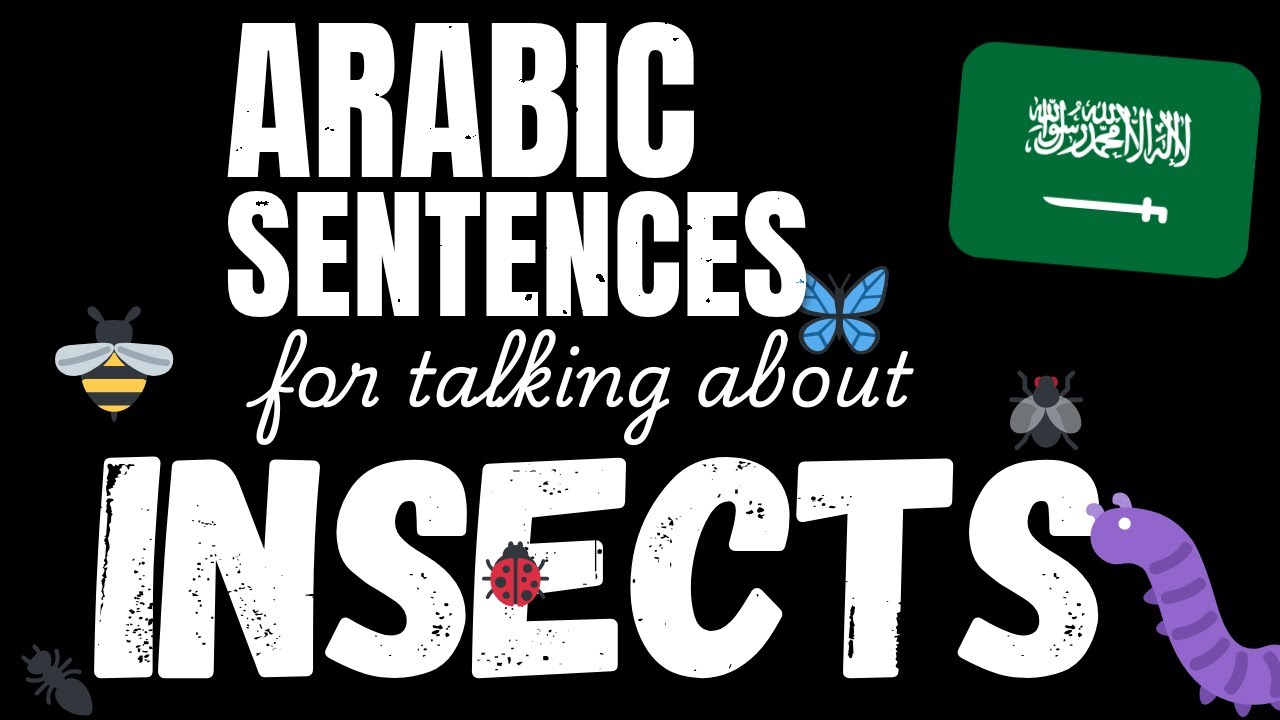 100 Easy Arabic sentences - Insects | Learn A1 Arabic vocabulary