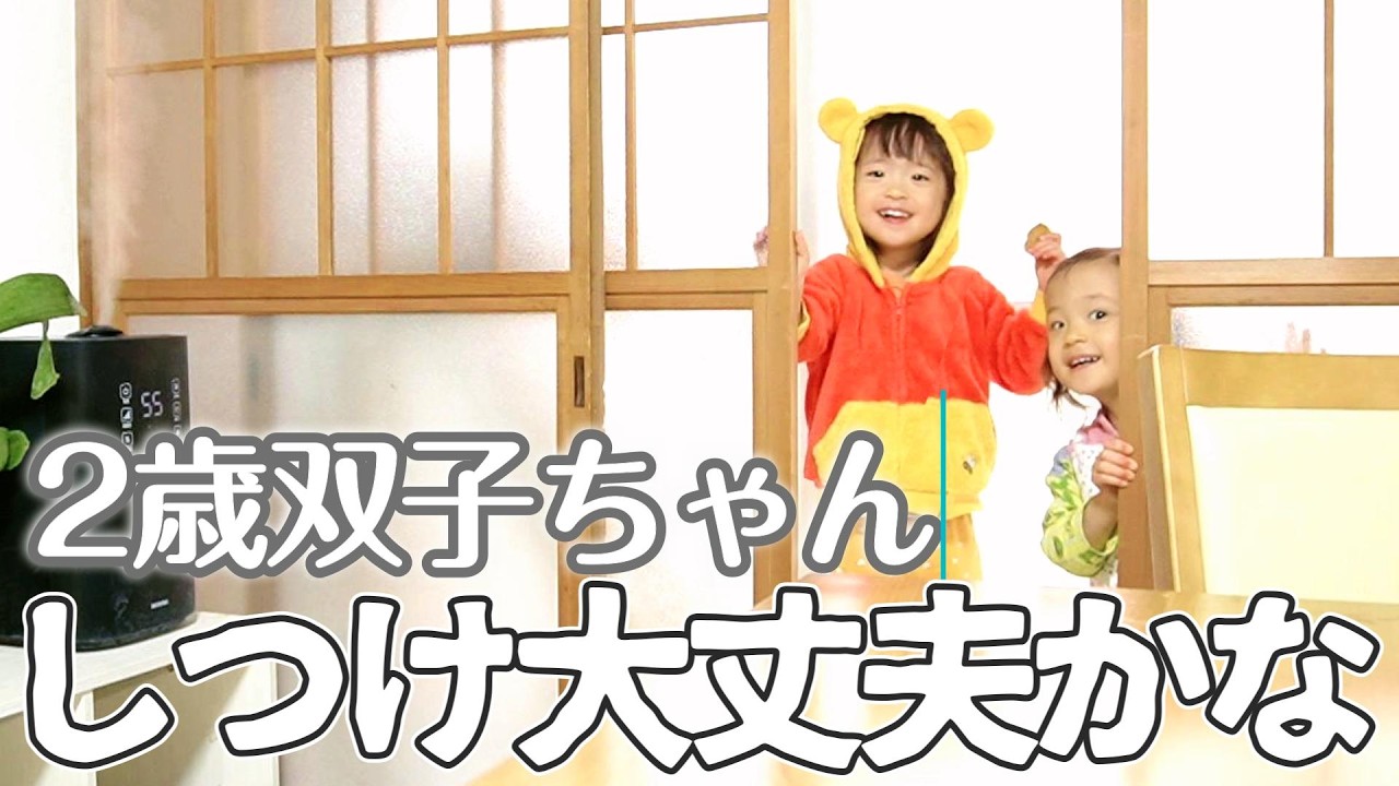 【双子育児】食事中に動きまわる2人🍔🍟これっていつ終わりますか？2歳10ヶ月