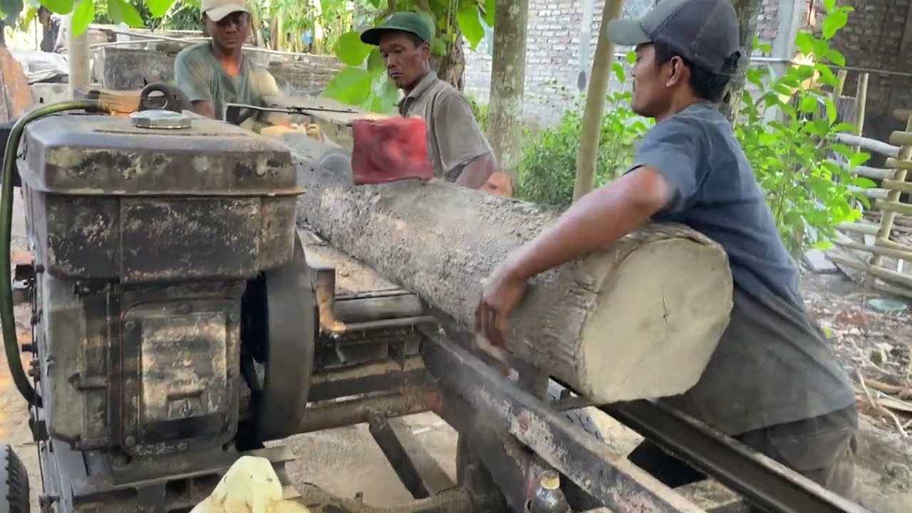 Penggergajian kayu jati  menggunakan serkel rakitan‼️
