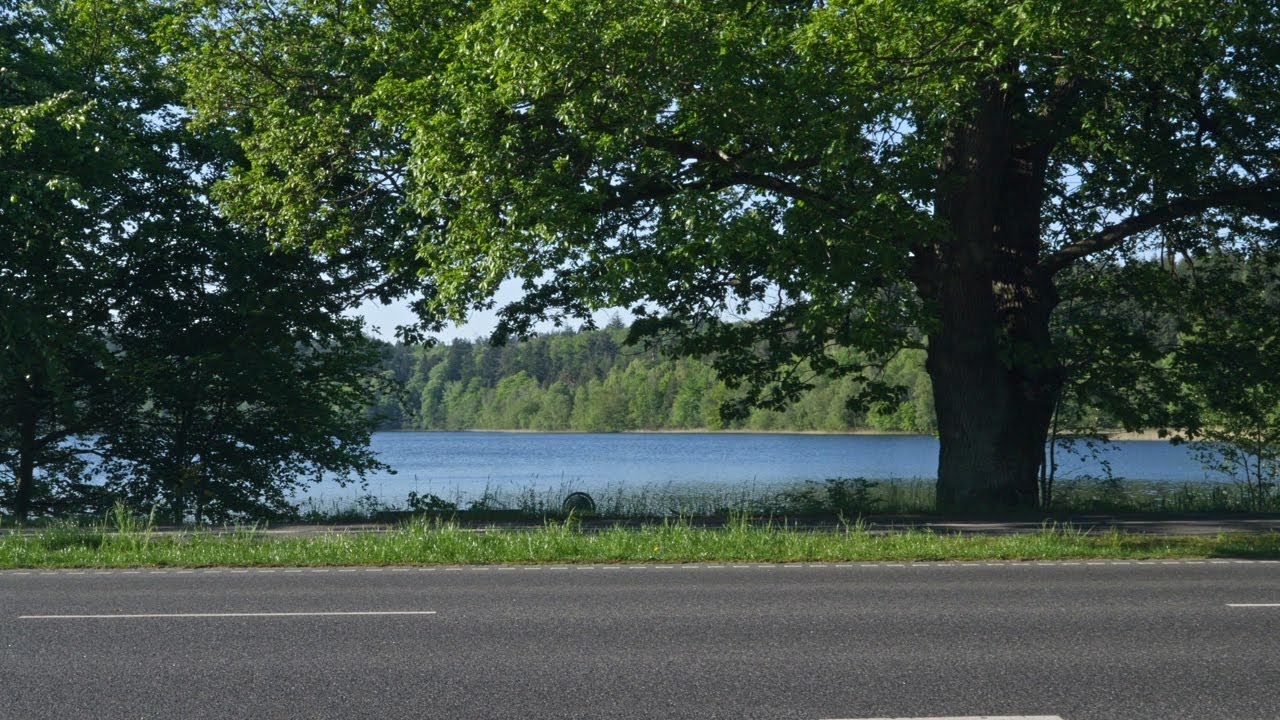 Denmark, From Silkeborg to Hjøllund. Marguerit Route
