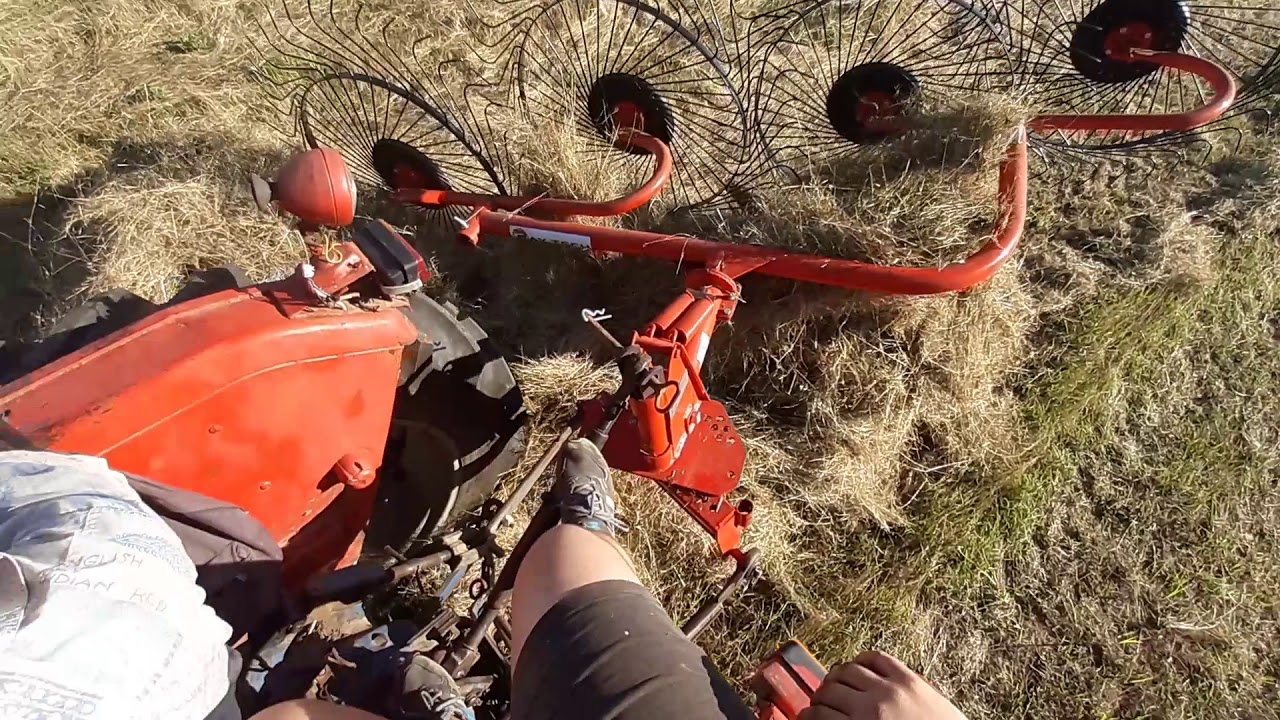 #vlog33 la strans de fan cu grebla Ray Tech si Massey  Fergunson 178