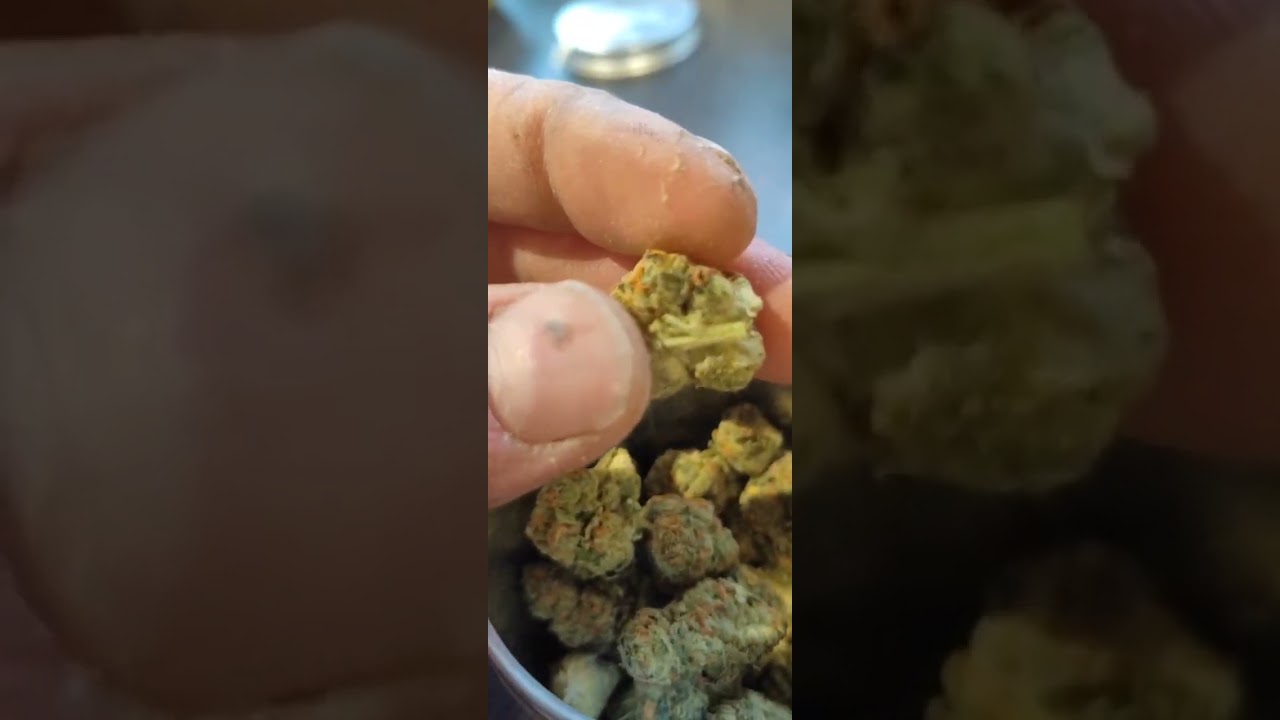 Medical cannabis new low😞 