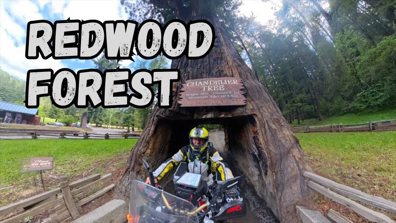 Pacific Coast Highway Motorcycle Ride in Stunning 4K