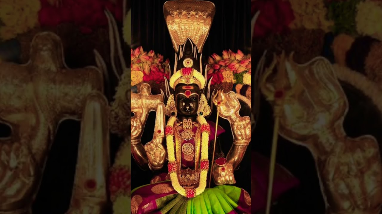 Amman🙏🏻 #anmeegam #shortsfeed #motivation #amman #ammansongstamil #ammanspecial #song #shorts