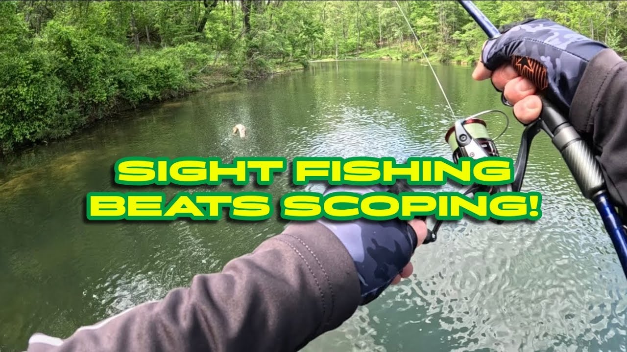 Bass Fishing the Spawn to Postspawn Transition...Number 1 bait! (Claytor Lake)