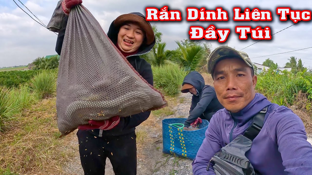 Thành Quả Không Tin Được, Đầy Túi RẮN Ngày Mưa # CSBR # 437