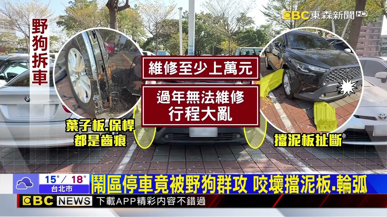 獨家》車停高雄鬧區停車場：遭成群野狗攻擊咬壞@newsebc