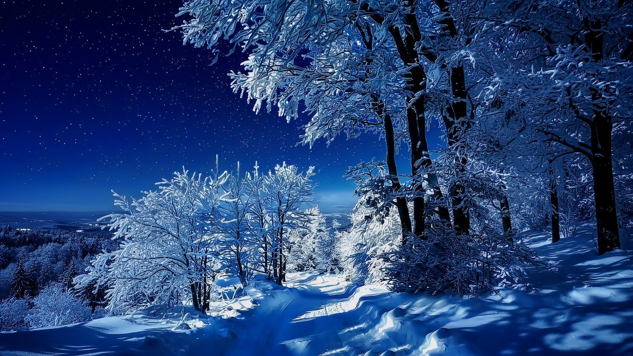 ⭐ Snowy Forest Path Under Stars | Deep Sleep Music • Comets • Winter Magic