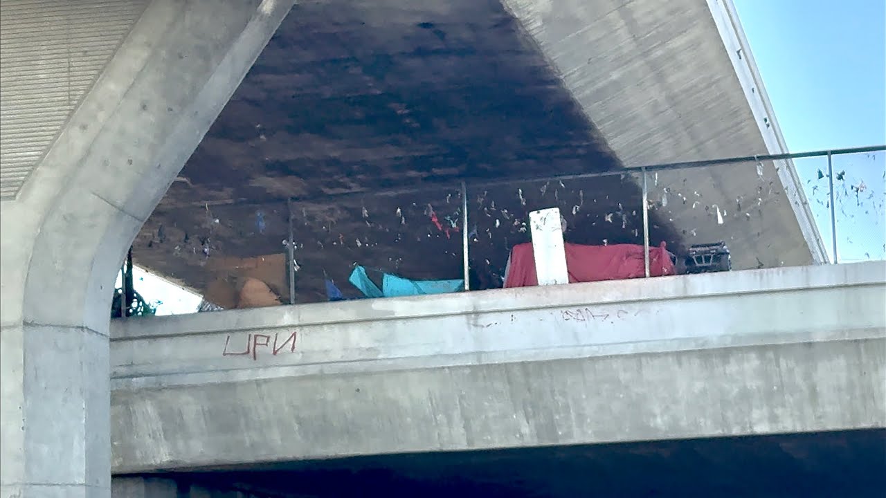110 DOUBLE DECK FREEWAY WITH ALL THE OVER PASSES BURNT OUT & MILES OF GRAFFITI. DEMOCRATS LOVE IT.