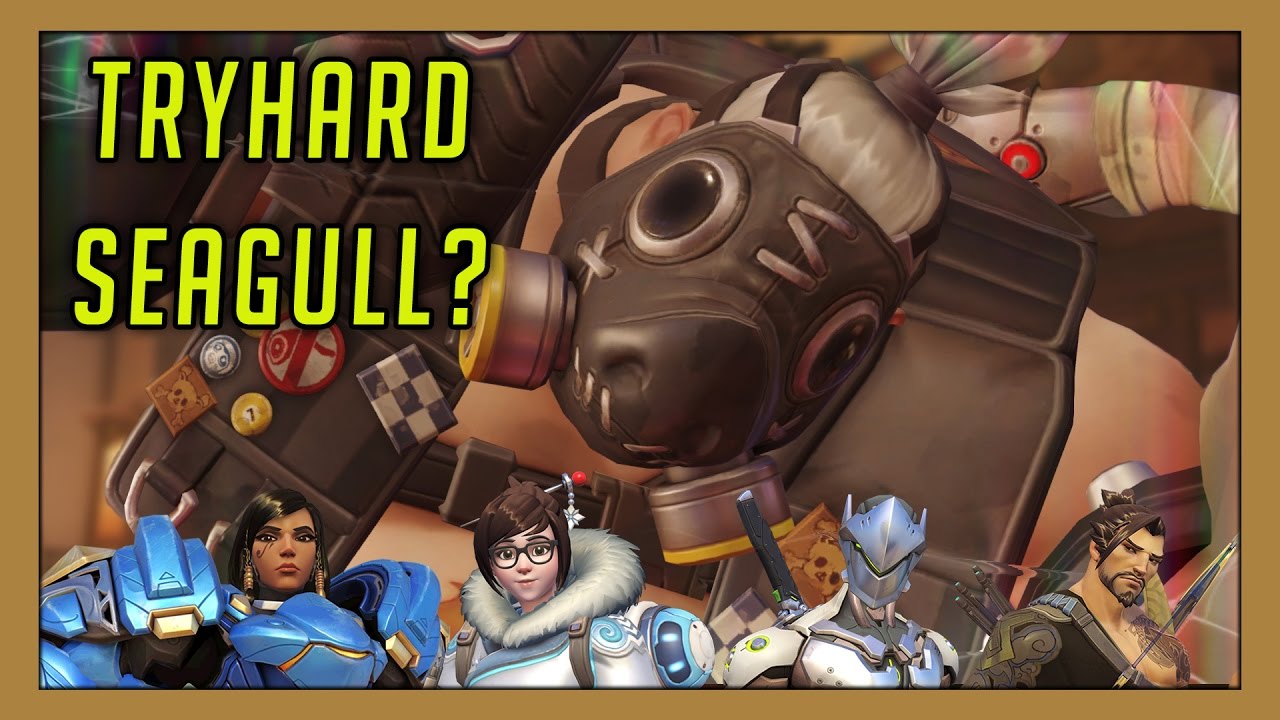 Tryhard Seagull?