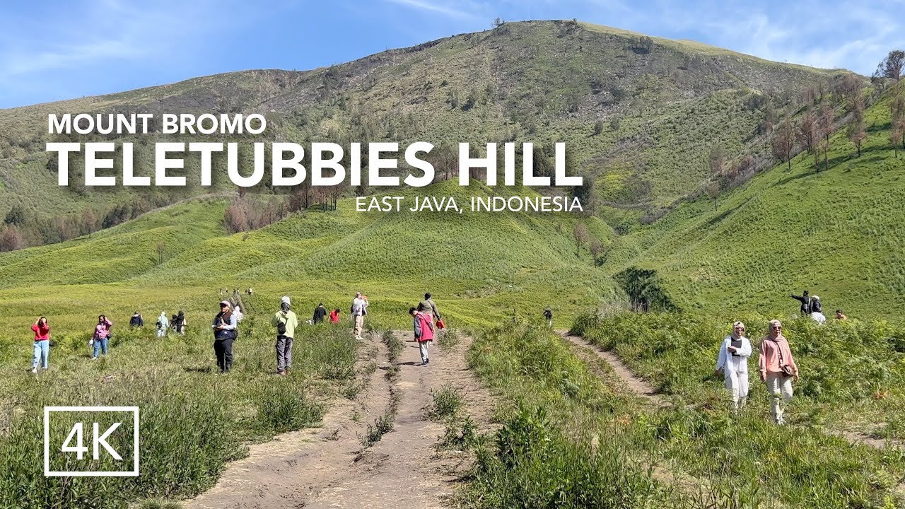 JALAN NAIK BUKIT TELETUBBIES ▪︎ KAWASAN HIJAU GUNUNG BROMO ▪︎ EAST JAVA, INDONESIA